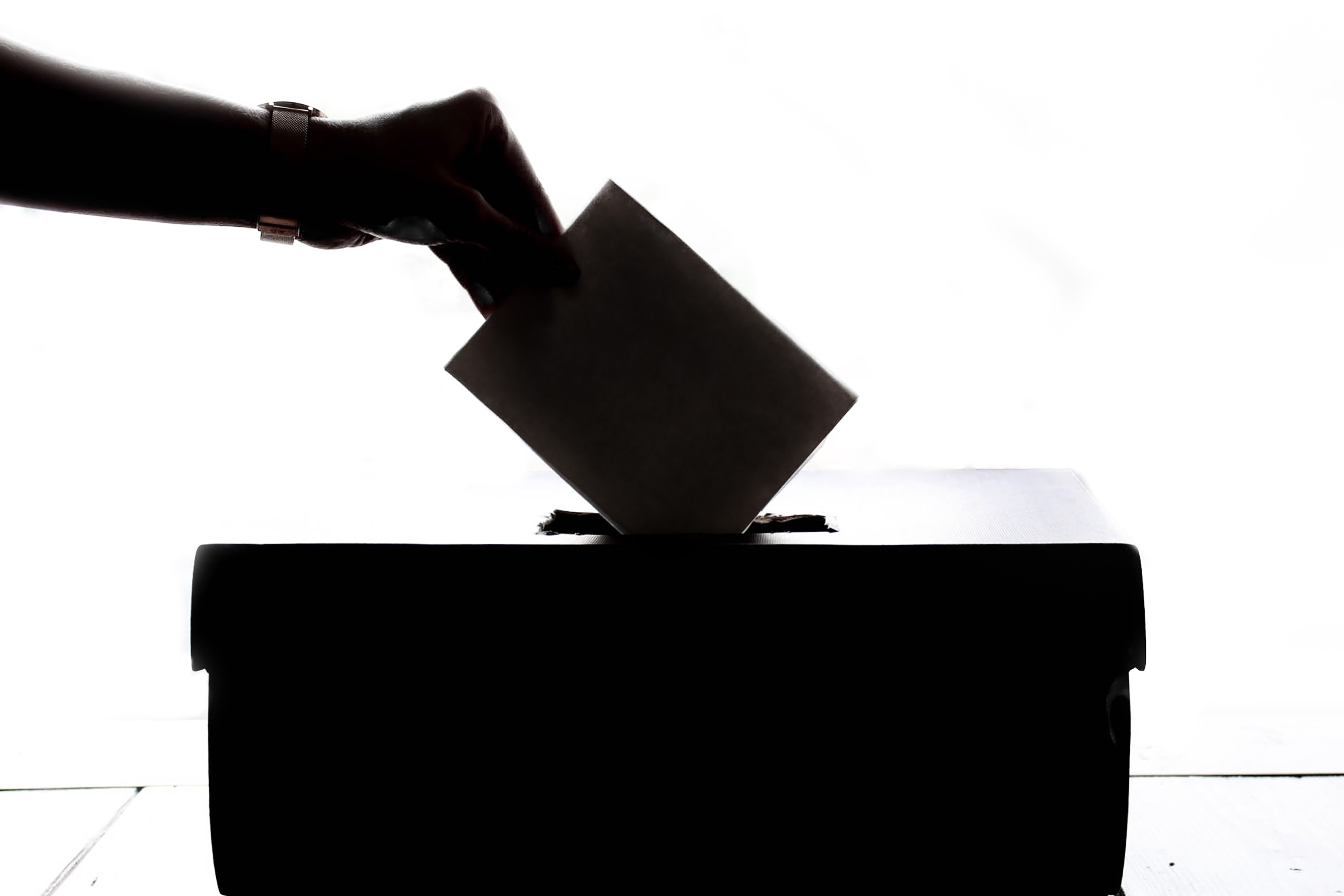 RESULTADOS DE LA VOTACIÓN DE LOS PRESUPUESTOS PARTICIPATIVOS RESULTADOS DE LA VOTACIÓN DE LOS PRESUPUESTOS PARTICIPATIVOS