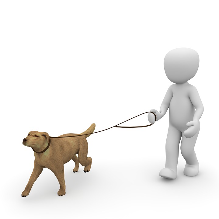 EL AYUNTAMIENTO RECUERDA LAS OBLIGACIONES DE LOS DUEÑOS DE LOS PERROS EL AYUNTAMIENTO RECUERDA LAS OBLIGACIONES DE LOS DUEÑOS DE LOS PERROS