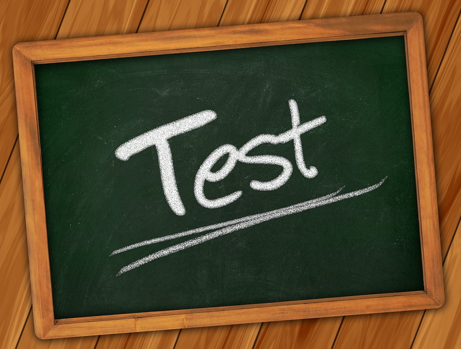 PUBLICADOS LOS RESULTADOS PROVISIONALES DEL EXAMEN TEÓRICO-PRÁCTICO PARA MONITOR DE TAJO
