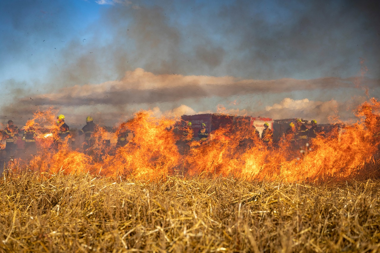 RIESGO EXTREMO DE INCENDIOS DURANTE ESTA SEMANA